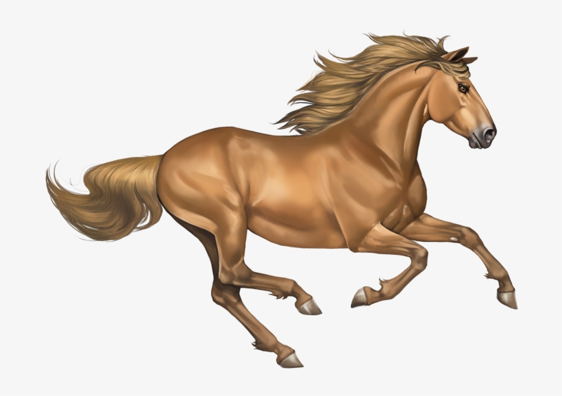 Darkgoldchampagne - Horse Png, transparent png #1385548