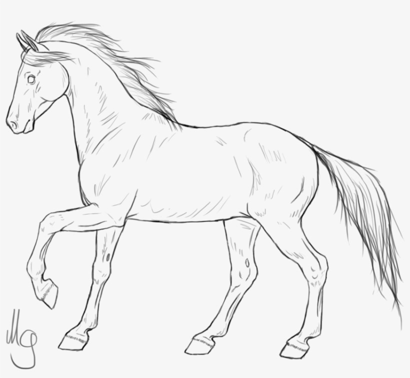 Mustang Horses Pony Line Art American Quarter Horse - Horse Drawing Png, transparent png #1385614