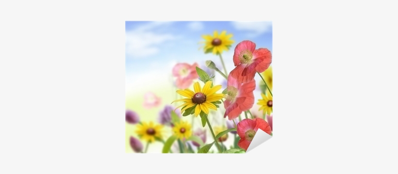 Flower, transparent png #1385762