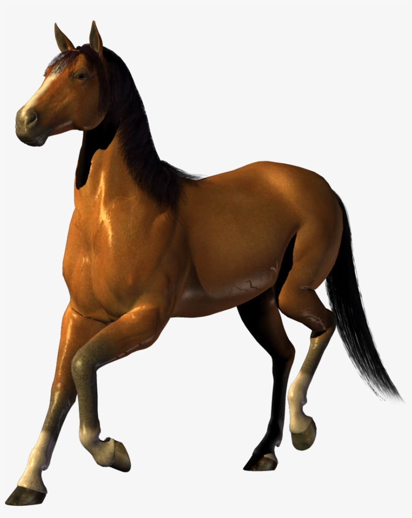 Horse Png Stickers Sticker - Download Image With No Background, transparent png #1385792