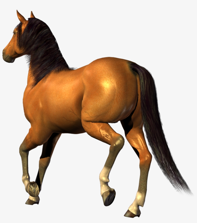 Horse Clipart Transparent Background, transparent png #1385795