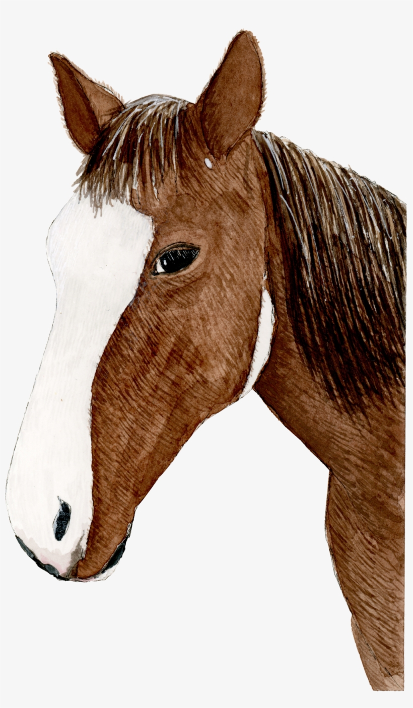 Hand Painted Horse Print, transparent png #1385911
