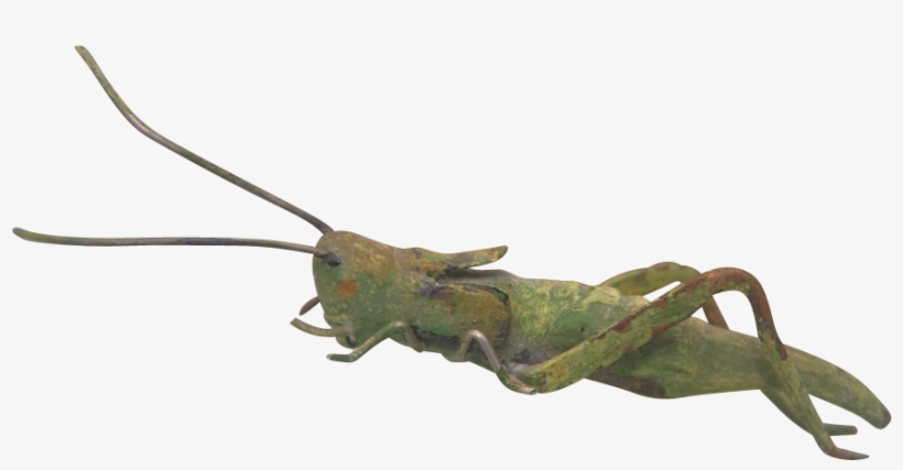 Antique Vienna Bronze Figure Of A Green Grasshopper, - 20th Century, transparent png #1385936