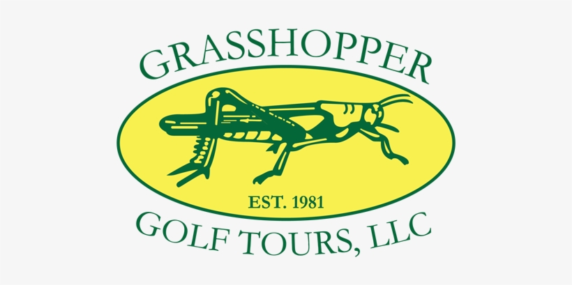 Logo - Graphic Design, transparent png #1385989