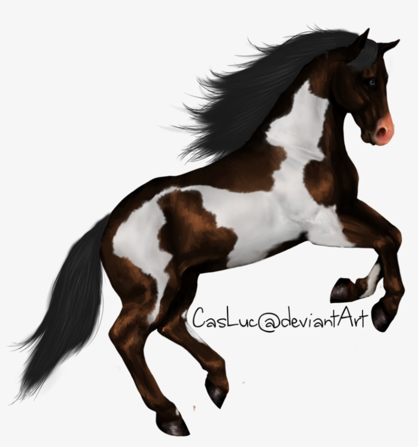 Horse Designs For Embroidery - Horse Standing Png, transparent png #1385991