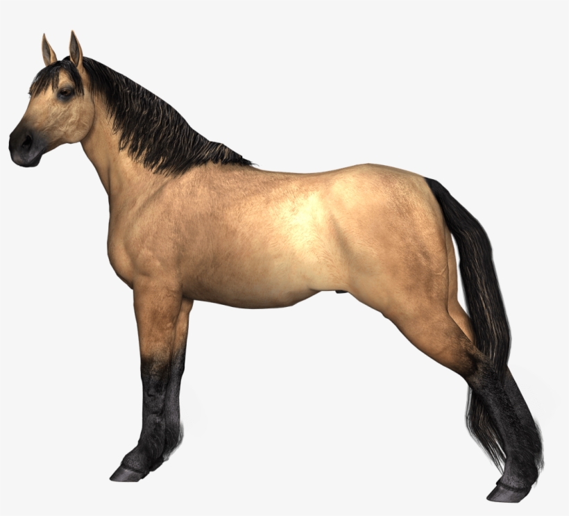 Tier Png, transparent png #1386043