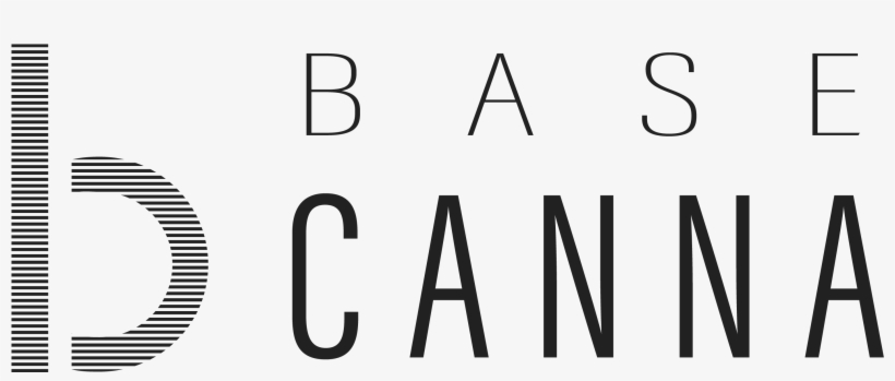 Car, transparent png #1386573