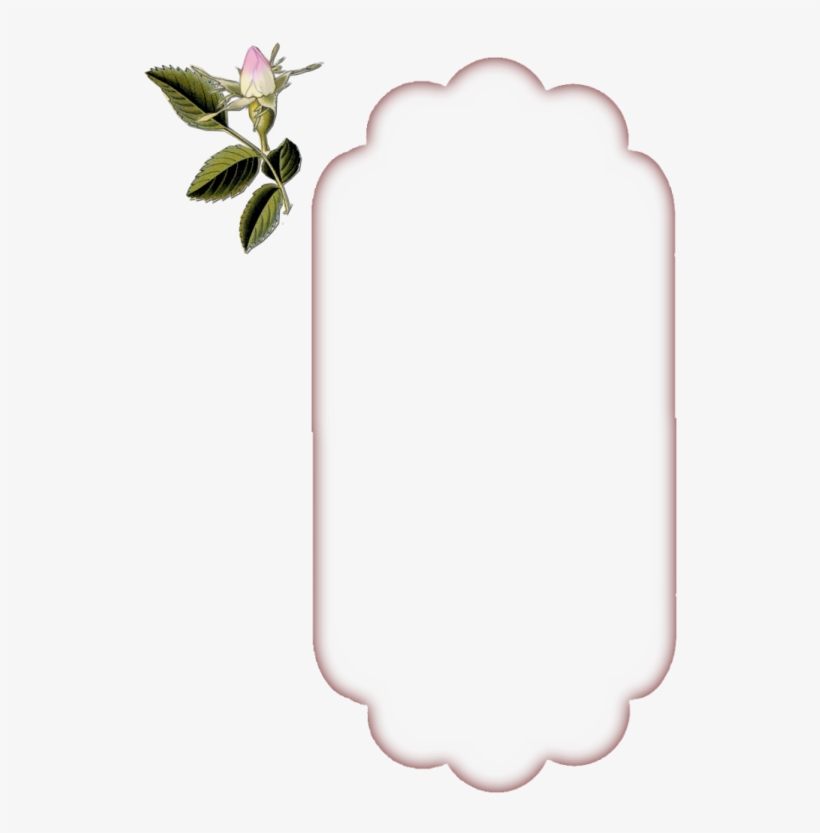 Large Tag Overlay - Tag Vintage Png, transparent png #1386724
