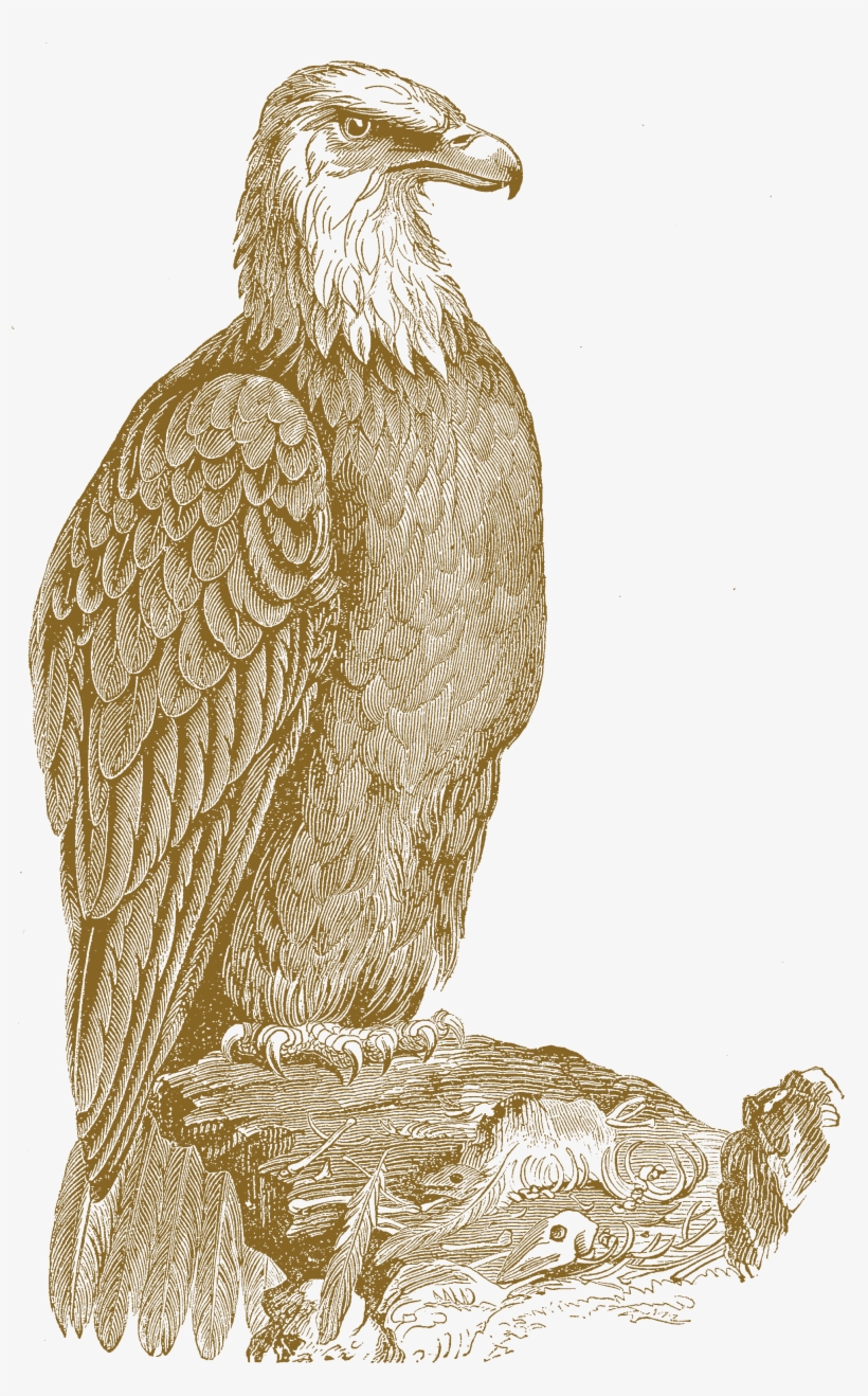 Tag - 300dpi, transparent png #1387207