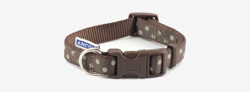 Dog Collar Tag Png - Ancol Adjustable Polka Dot Dog Collar - Mocha / 1-2, transparent png #1387298