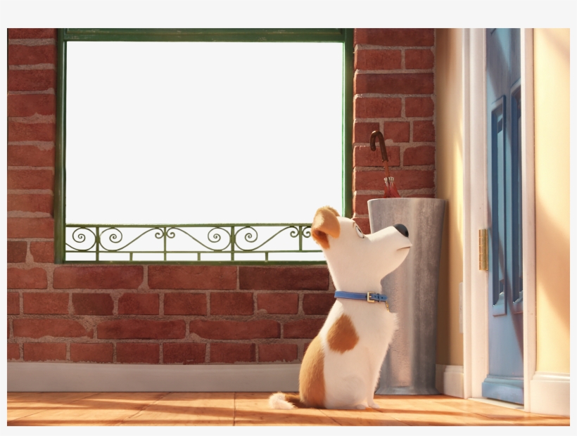 Secret Life Of Pets (dvd), transparent png #1387386