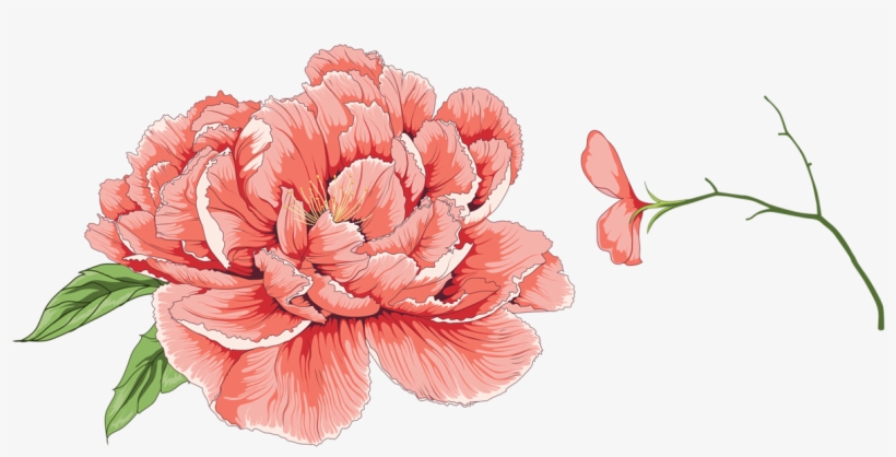 Яндекс - Фотки - Moutan Peony, transparent png #1387744