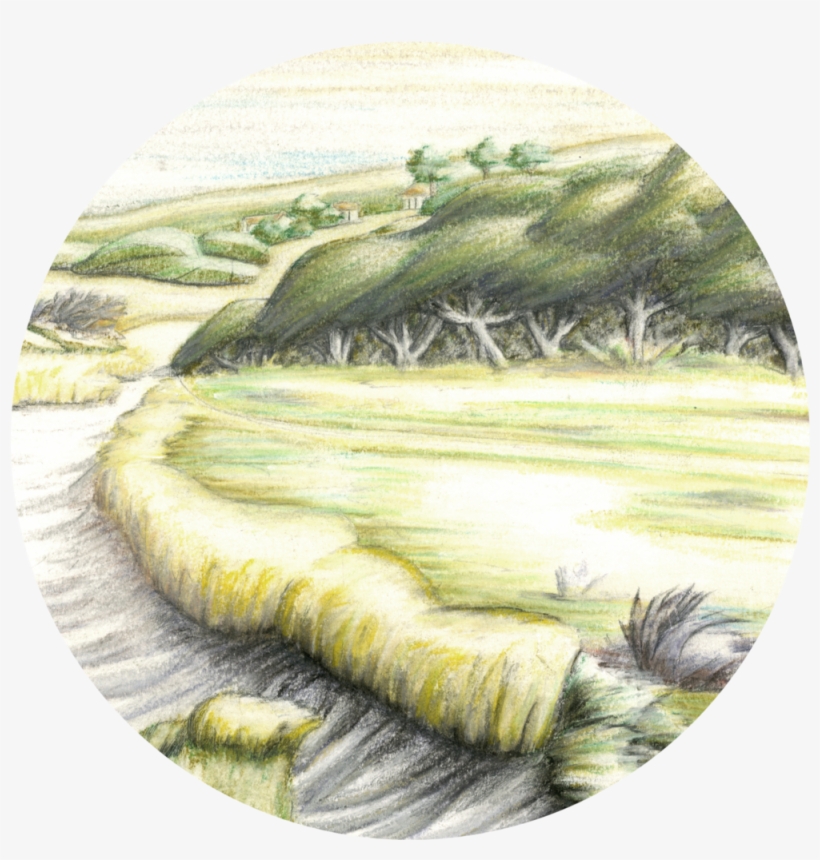 Jekyll, transparent png #1387915