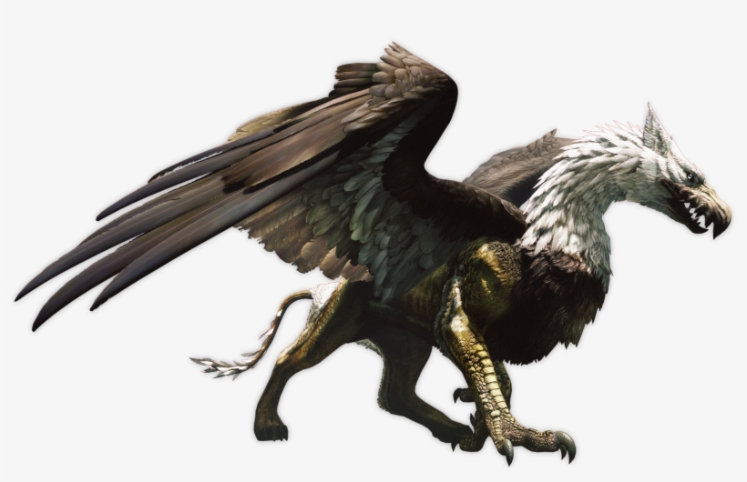 Can You Name All - Dragon's Dogma Griffin, transparent png #1388092