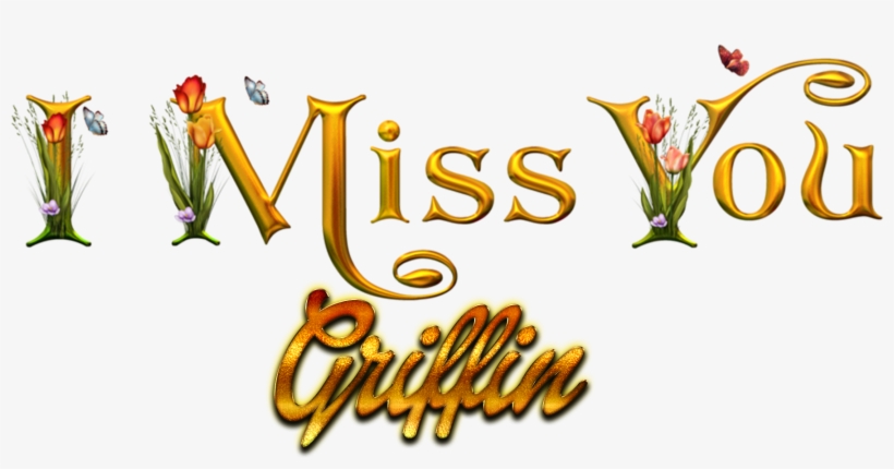 Griffin Missing You Name Png - Heena Name, transparent png #1388295