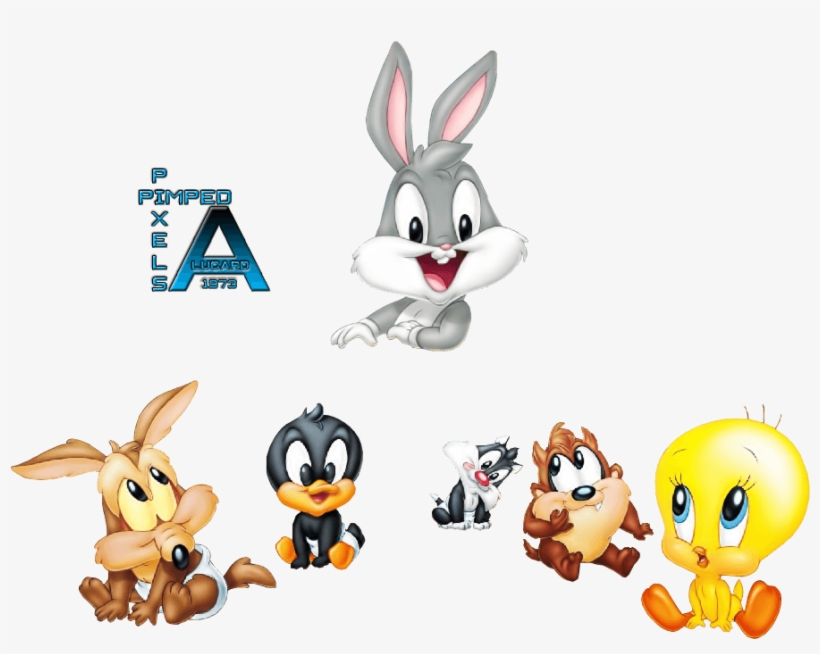 Baby Looney Tunes Wallpaper - Baby Looney Tunes Png, transparent png #1388897