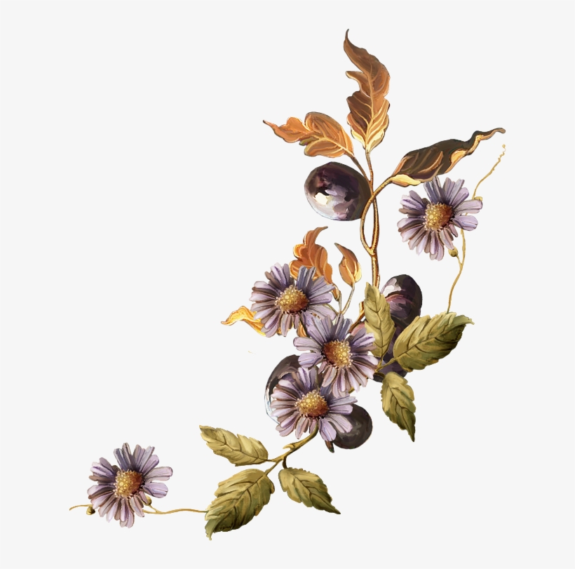 Фото, Автор Иришка-манюшка На Яндекс - ملحقات تصاميم ورد, transparent png #1389057