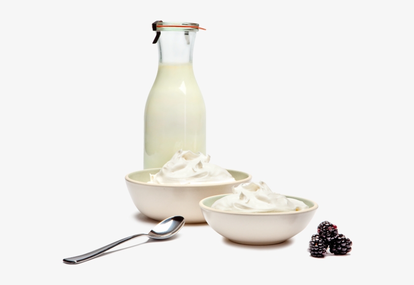 Our Yogurt - Milk And Yogurt Png, transparent png #1389095