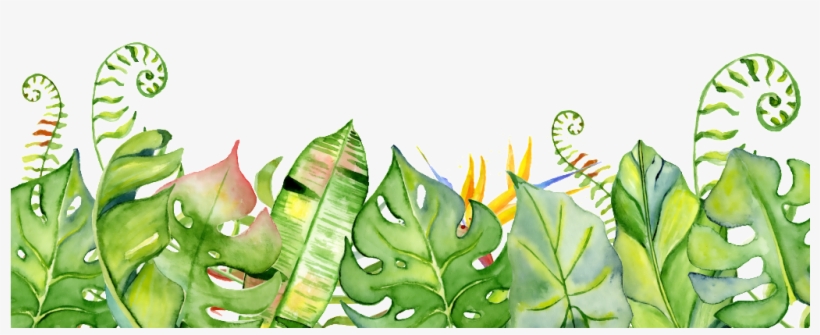 Hand Painted Fresh Leaves Png Transparent - Tropical Leaves Watercolour Clip Art, transparent png #1390229