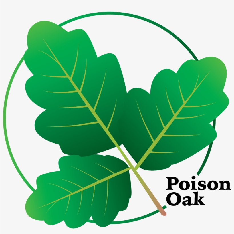 Aitex Logo Design Poison Oak 1 - Illustration, transparent png #1390835