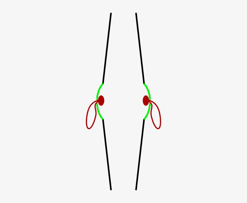 Crash Cymbals Profile - Cymbal, transparent png #1391065