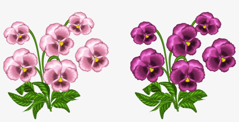 Pink Clipart Pansy - Violets Clip Art, transparent png #1392523