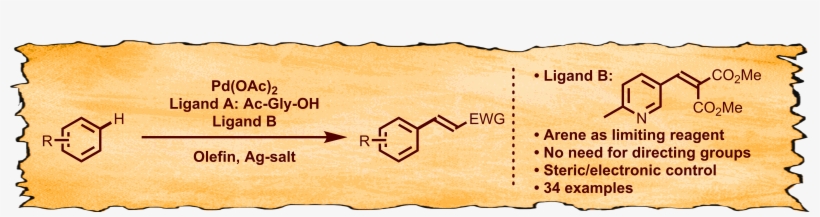 Chen,[ ] P - Diagram, transparent png #1395830
