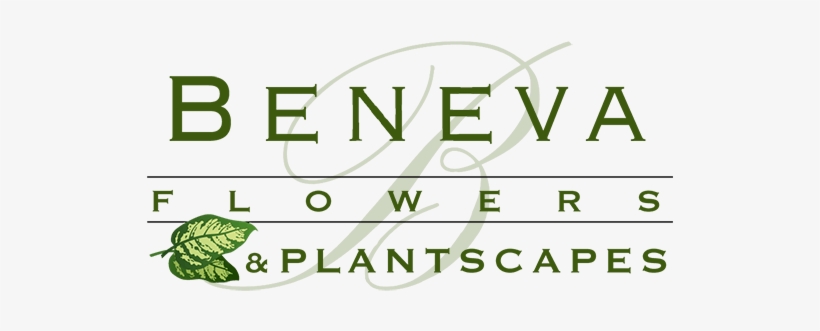 Return To The Homepage - Evergreen Classics In Bossa, transparent png #1396689