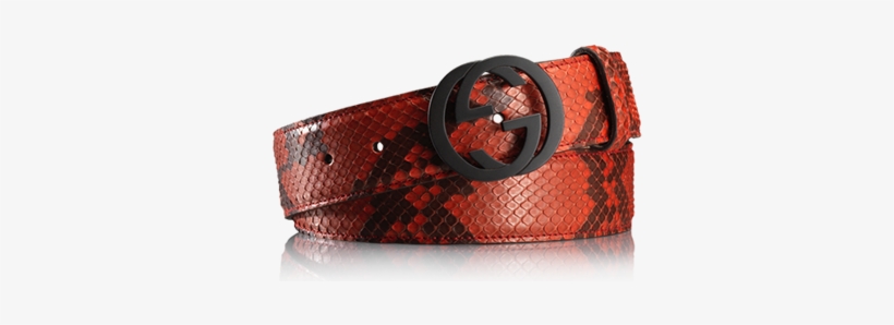 Red Gucci Belt Made From Phyton Skin - Red Snakeskin Gucci Belt, transparent png #1397618