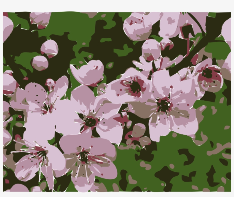 Cameroon Flowers Clipart Plum Blossom Flower - National Plant Of Cameroon, transparent png #1397912