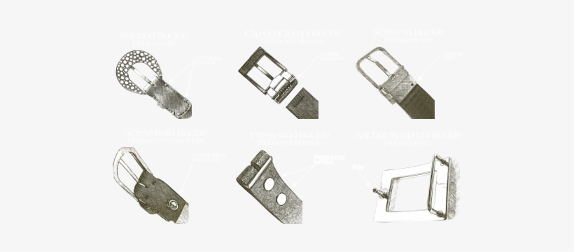 Type Of Buckles Compatible With Gucci Alligator Belt - Tipi Di Fibbie Cinture, transparent png #1397953