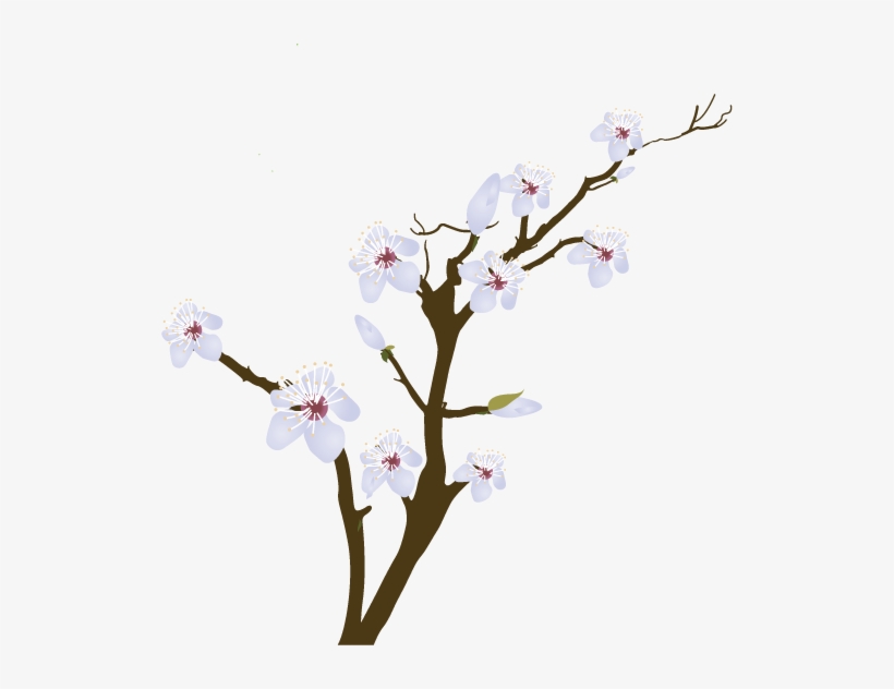 Blossom - Vector Rama Con Flores, transparent png #1398056