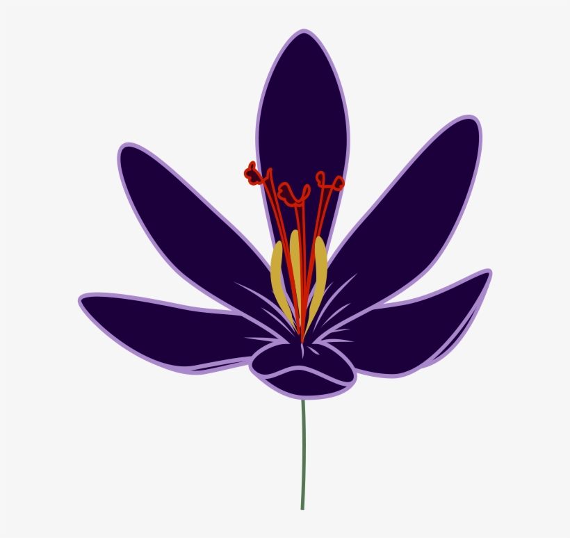 How To Set Use Crocus Blossom Clipart, transparent png #1398058