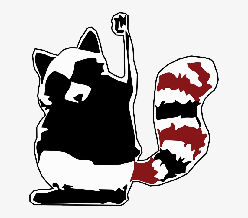 Raccoon, Coon, Racoon, Animal Fighting, Fist, Winner - Rebel Raccoon, transparent png #1398398