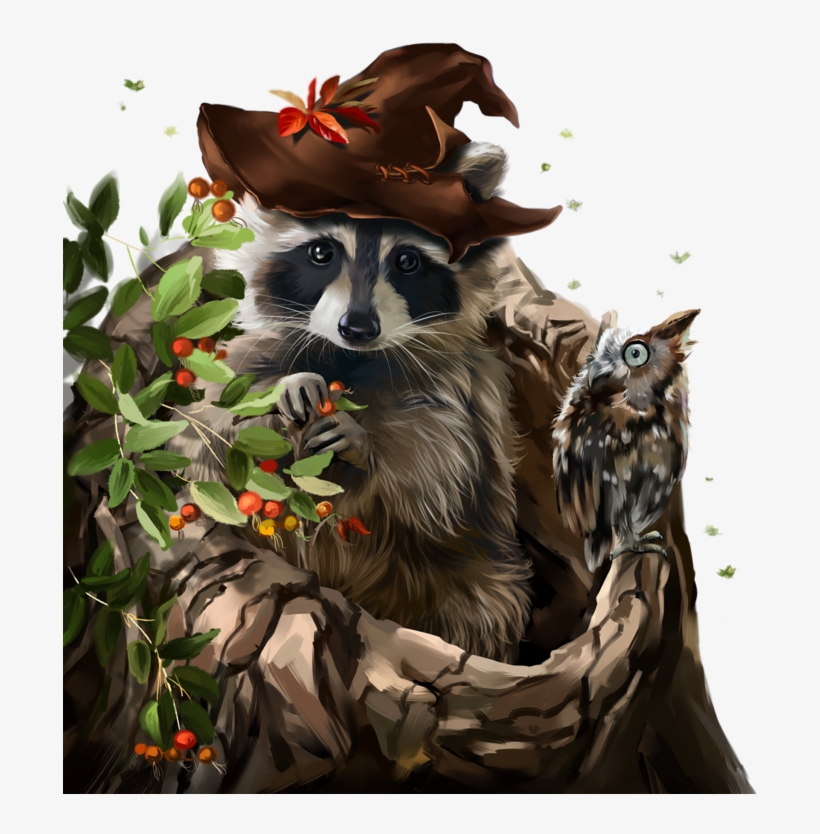 Liveinternet Explora Y Mucho Ms - Енот И Сова, transparent png #1398585