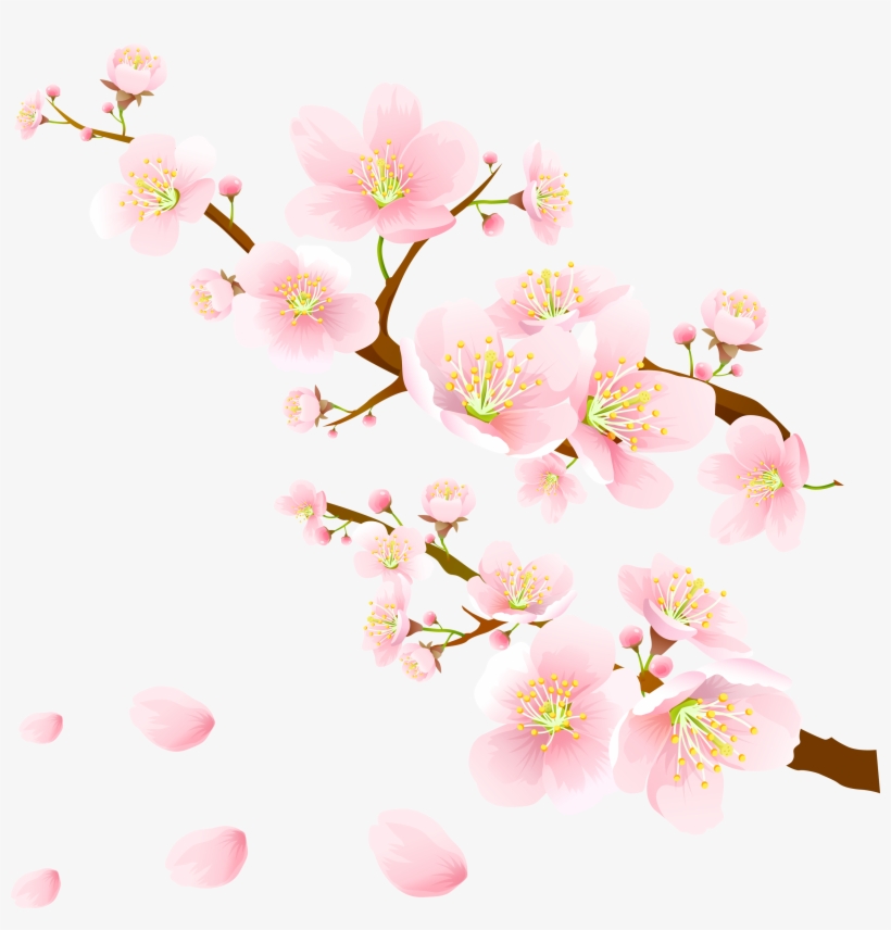 Portable Network Graphics, transparent png #1398855