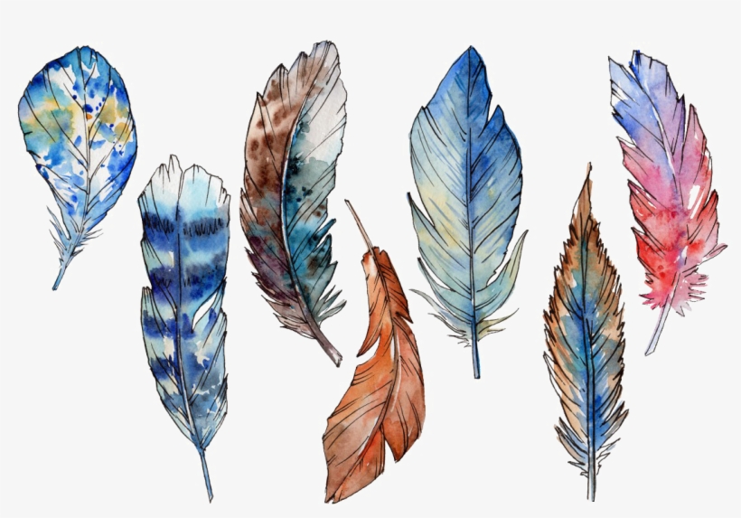 Feather Png Photo - Feather, transparent png #140306