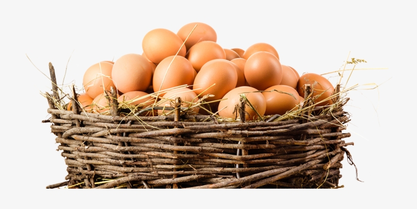 Organic Eggs Png Image Stock - Eggs In A Basket Png, transparent png #140516