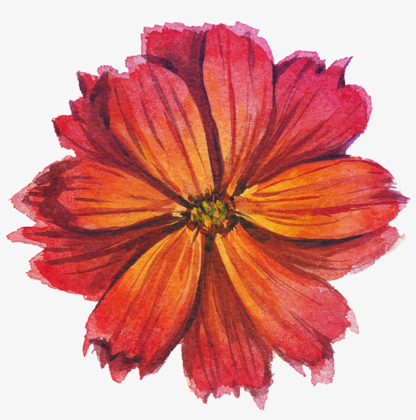 Fragrant Red Transparent Watercolor Flowers - Watercolor Floral Transparent Red, transparent png #140746