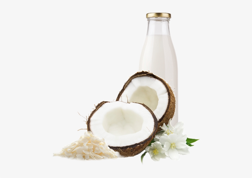 Coconut Milk Png - Asobu Juicy Drink Box Tritan Juice Box, transparent png #140793