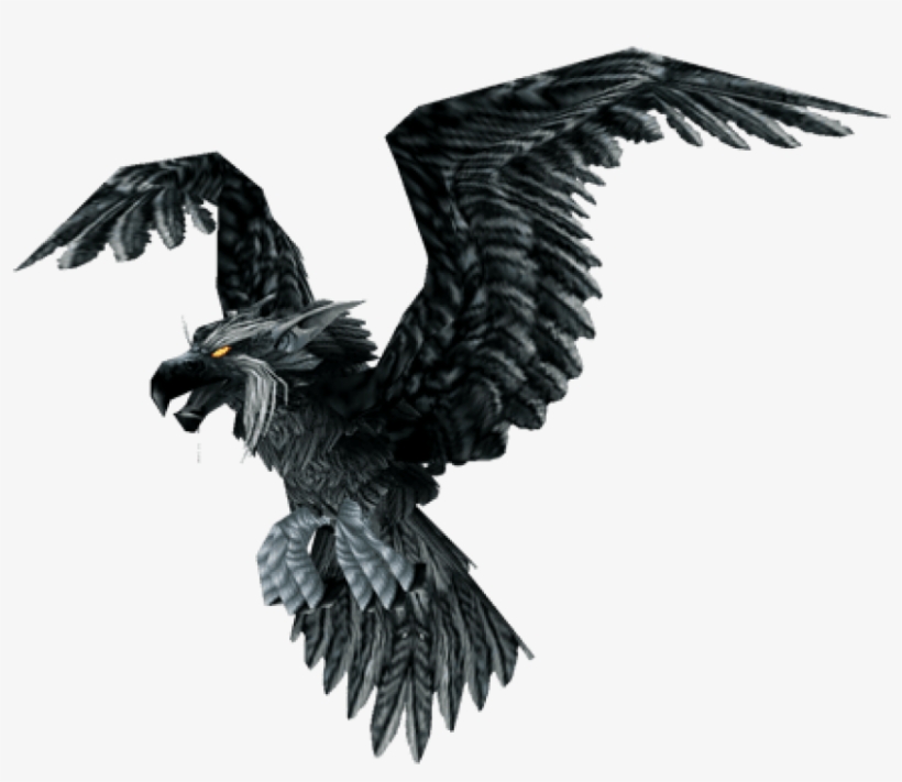 Raven - Raven Bird, transparent png #140867