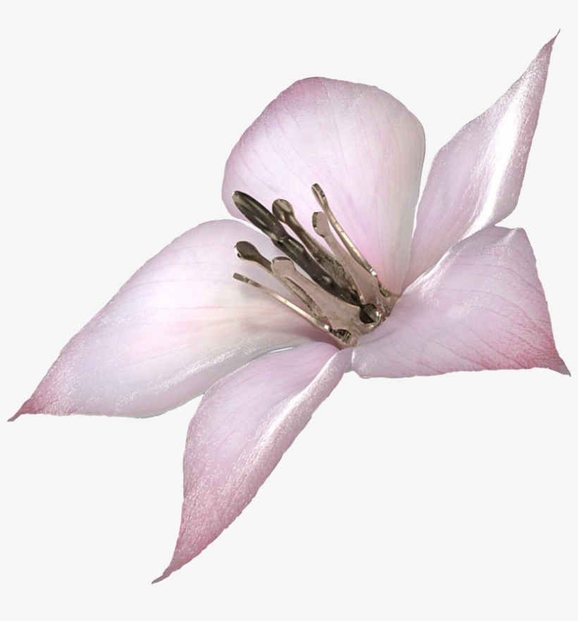 Imagei Made A Png Of A Lunar Tear, Use It Well - Lunar Tear Drakengard 3, transparent png #141557