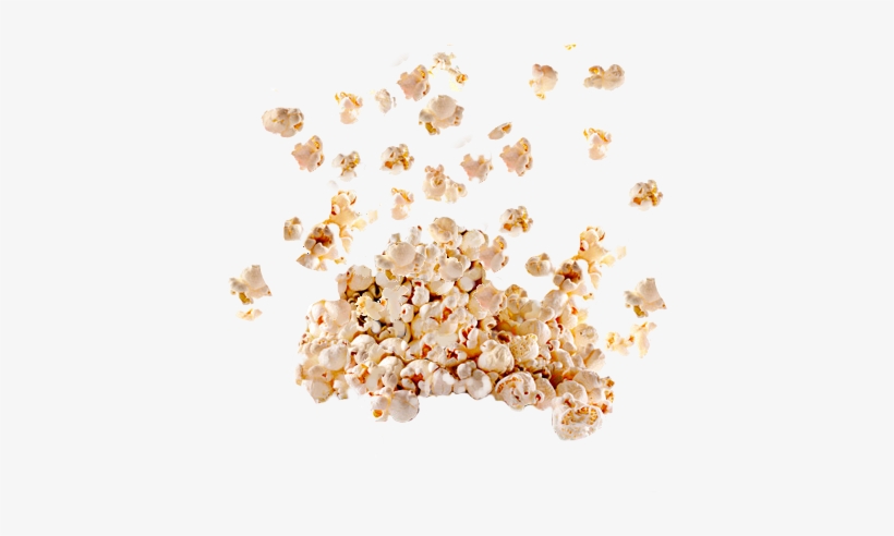 Popcorn Png Picture - Animal, transparent png #141630
