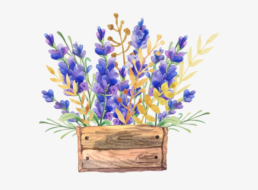 English Lavender Watercolor Painting Flower Drawing - Watercolor Flowers In A Box, transparent png #141704