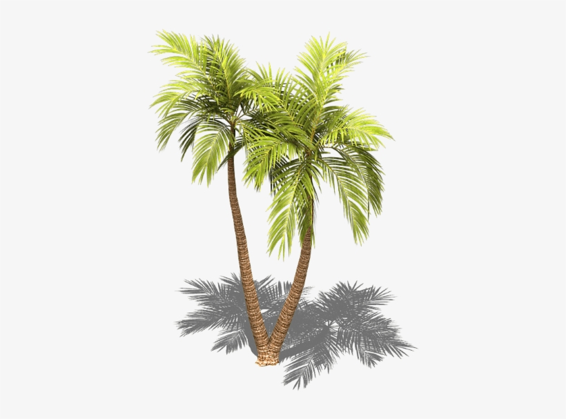 Preview - Palm Trees, transparent png #141892