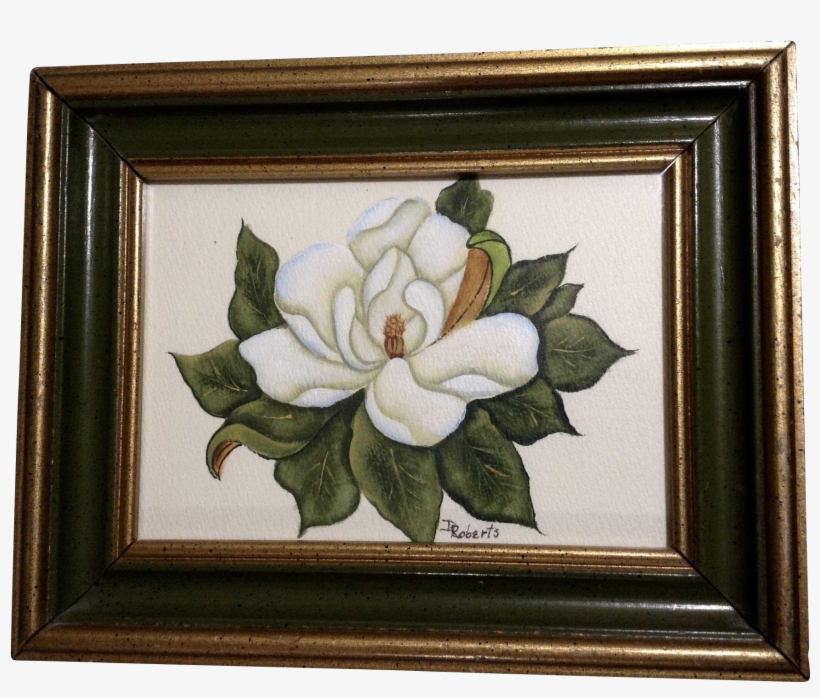 Roberts, Still Life White Gardenia Flower Watercolor - Painting, transparent png #142374
