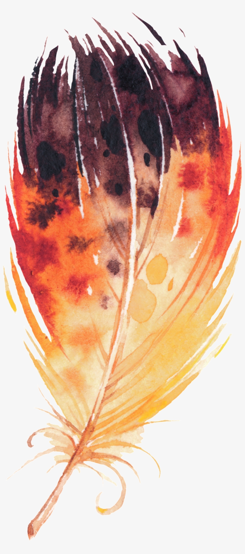 Flame Wing Cartoon Transparent - Marmont Hill Feather Collage Ii By Melanie Clarke Framed, transparent png #142471