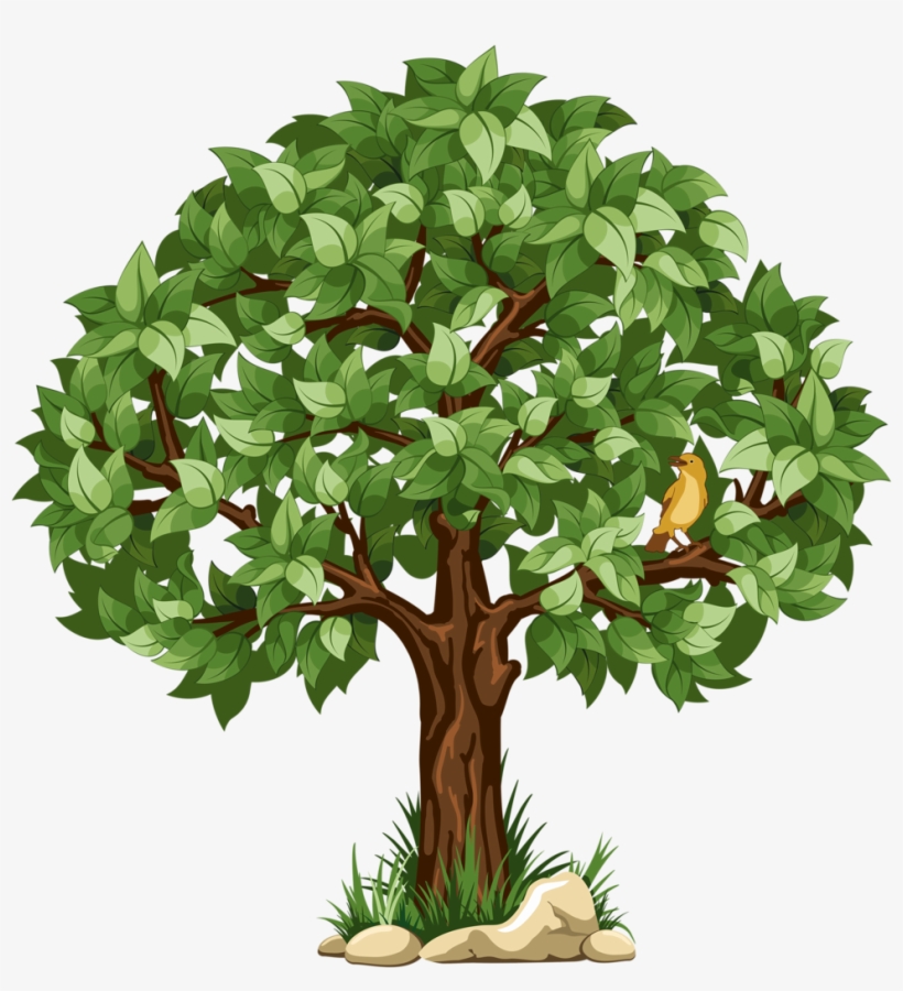 9 - Transparent Background Tree Clipart, transparent png #142498