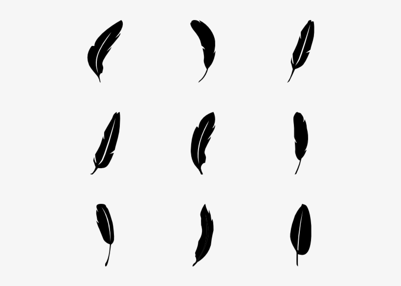 Feathers - Feather Icons, transparent png #142586