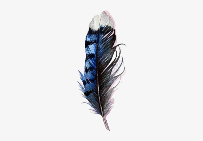 Watercolor Feathers Png Graphic Royalty Free - Blue Jay Feather Watercolor, transparent png #142969